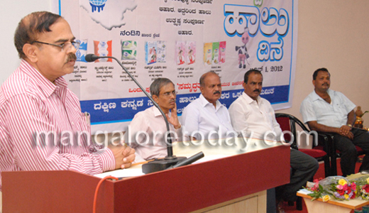 World Milk Day